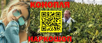 спиды Шелехов