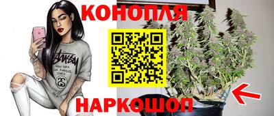 спиды Шелехов