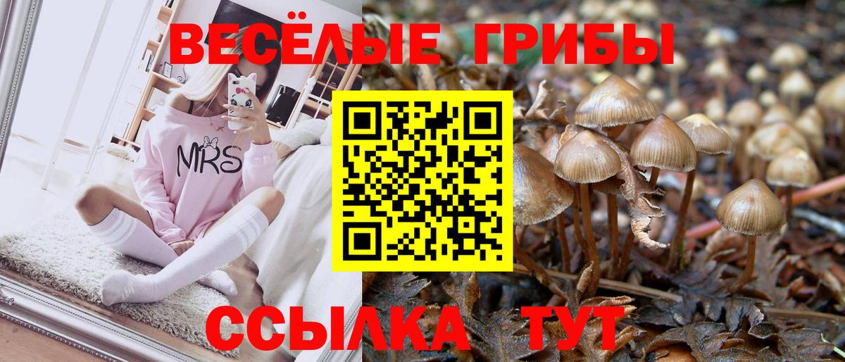 Галлюциногенные грибы GOLDEN TEACHER Бузулук