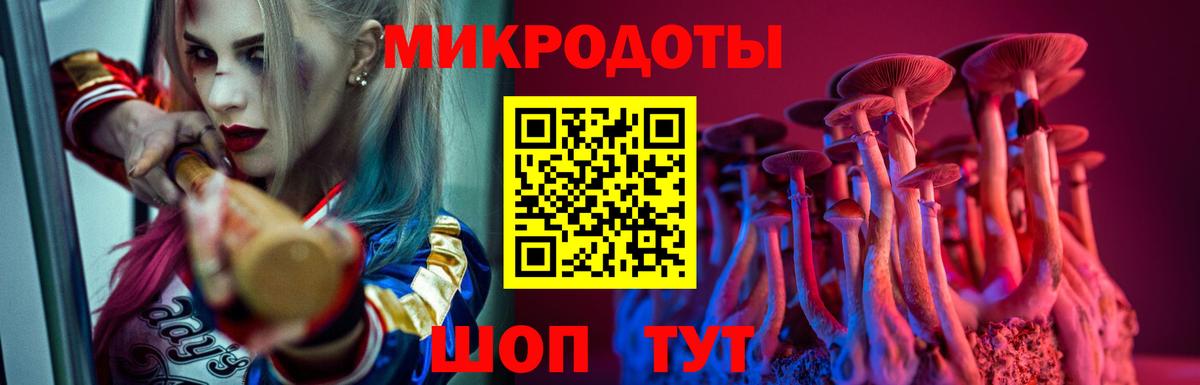 Галлюциногенные грибы Psilocybe  сколько стоит  Вход с VPN  Бузулук  Галлюциногенные грибы Cubensis 